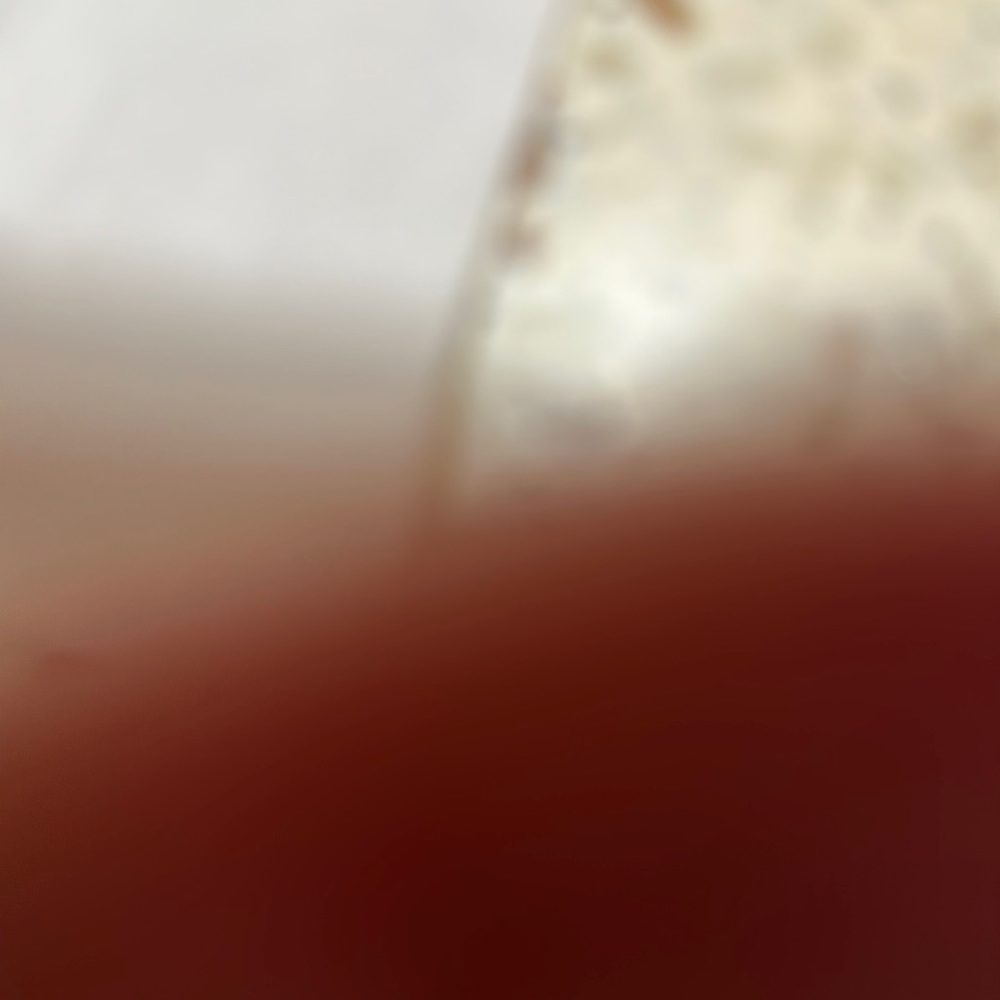 NWOT Foot Joy Golf Shoe Bag